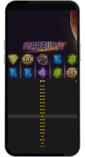 Set Your Bet Size and Start Playing